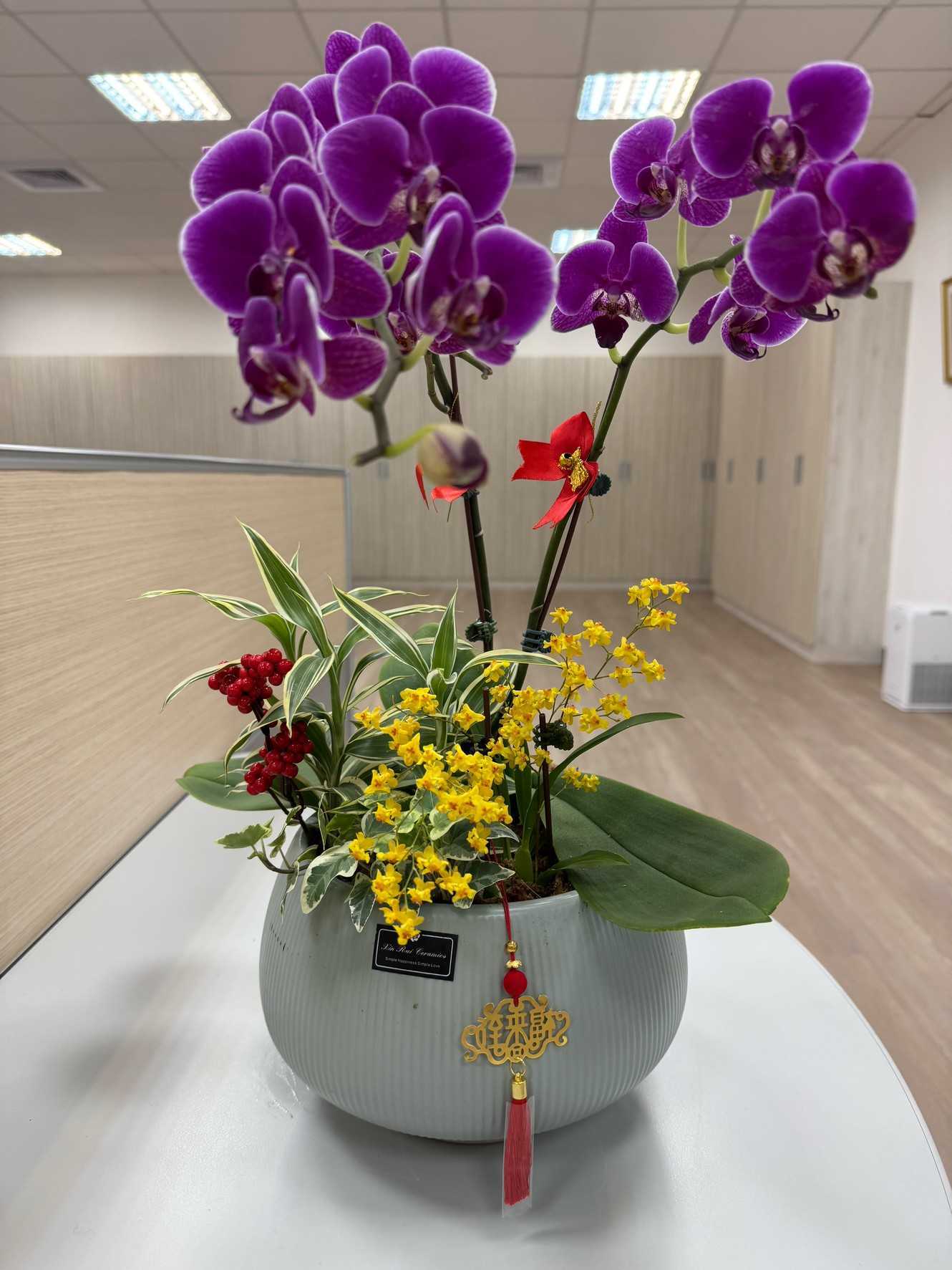 蘭花雅致款